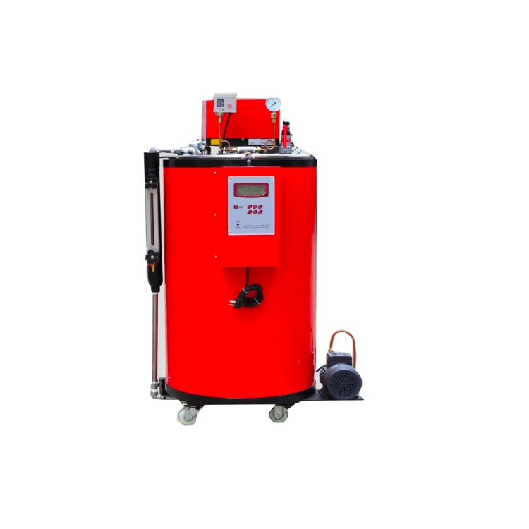 35kg Gas steam generator